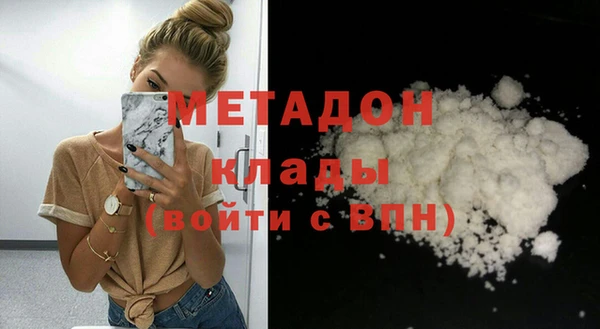 шишки Арсеньев