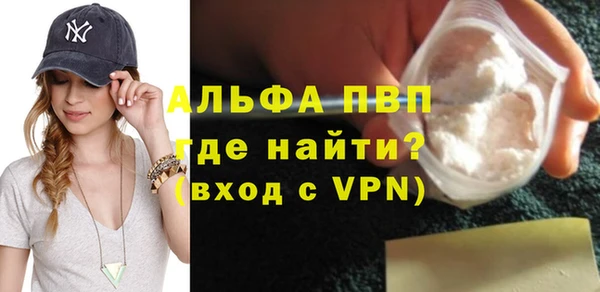 шишки Арсеньев