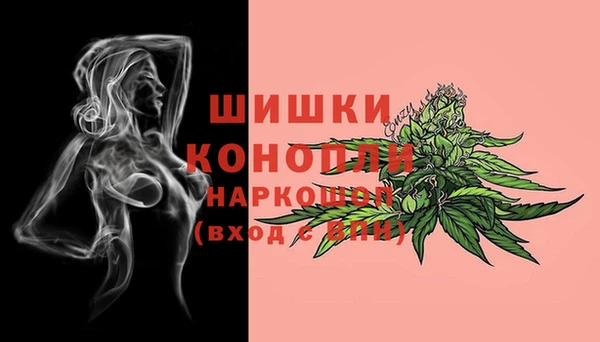 шишки Арсеньев