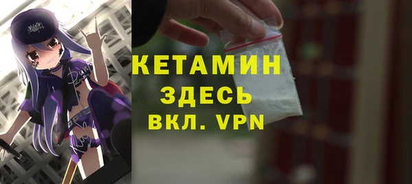 шишки Арсеньев