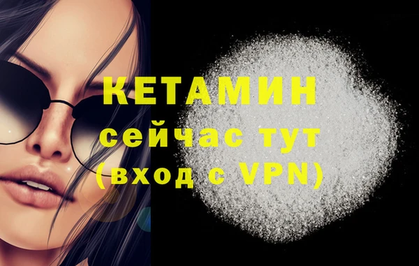 шишки Арсеньев