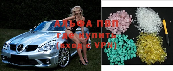 шишки Арсеньев