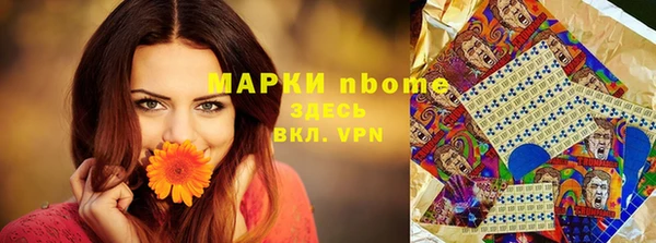 шишки Арсеньев