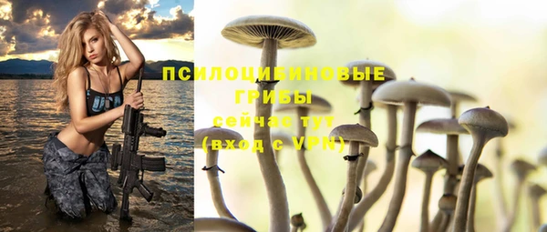 шишки Арсеньев