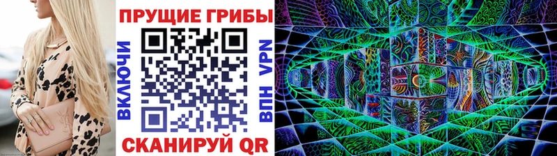 OMG маркетплейс  купить закладку  Татарск  Псилоцибиновые грибы мухоморы 